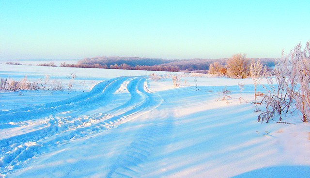 Зима–художница картины пишет снегом...