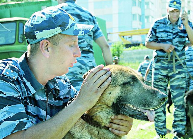 ПРОФЕССИОНАЛЫ С ХВОСТИКОМ